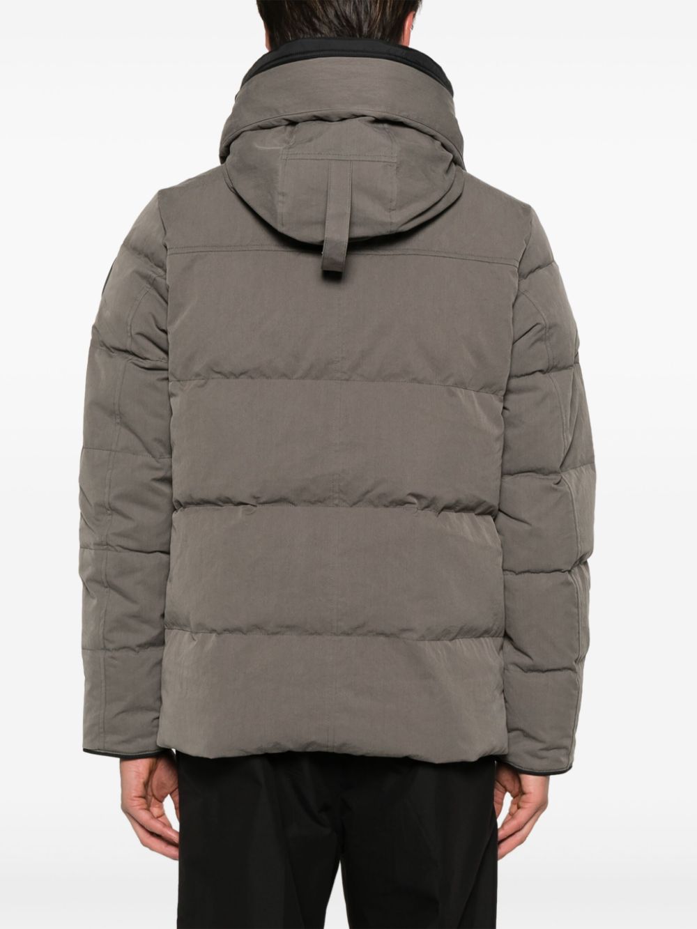 Canada Goose Coats Grey